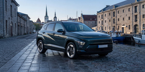 Hyundai Kona Electric 2020-2022 charging cable