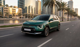 Kia Niro PHEV charging cable