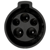 Type 1